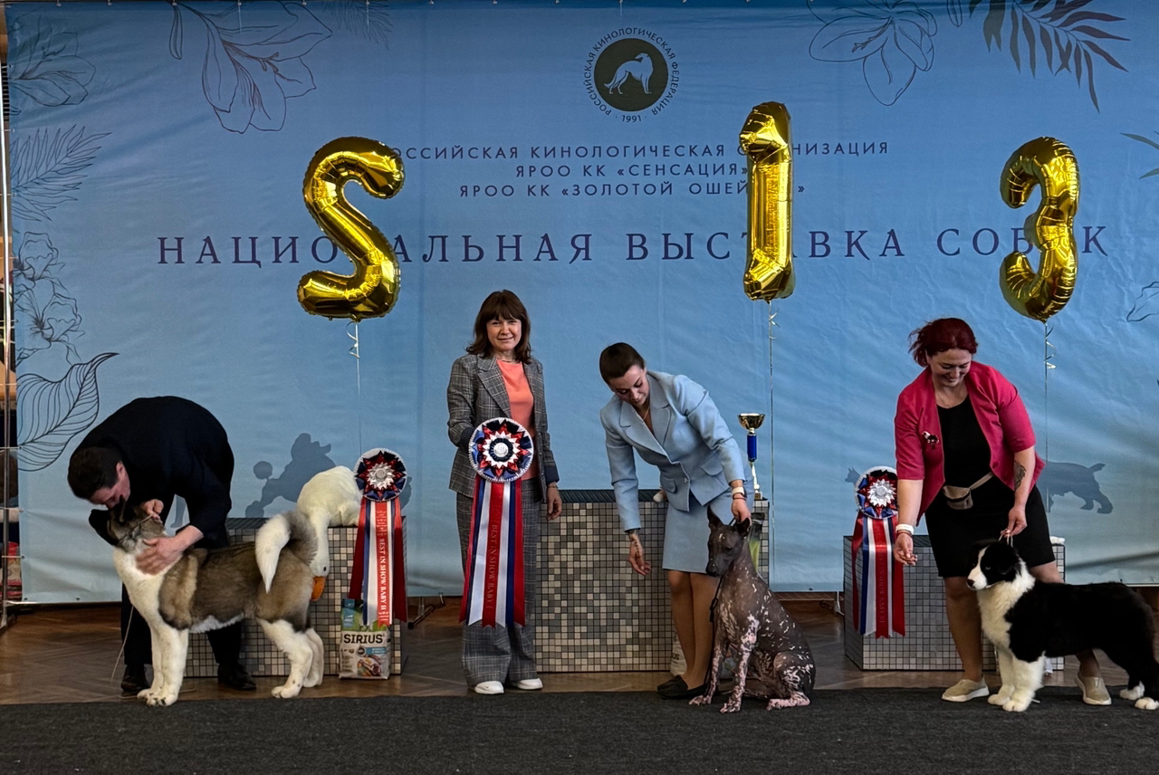 Первые победы наших малышей