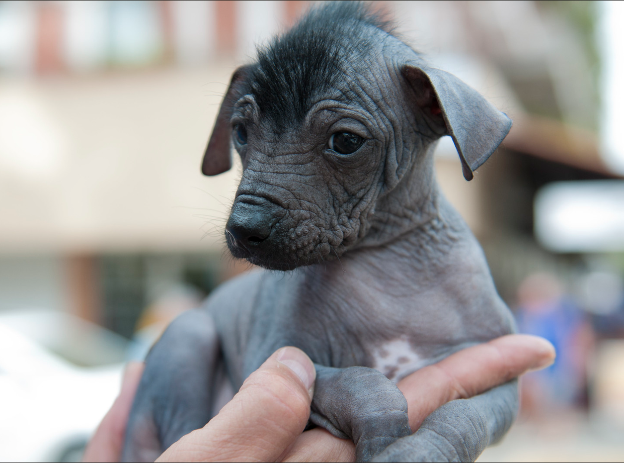 Первые шаги в новый дом