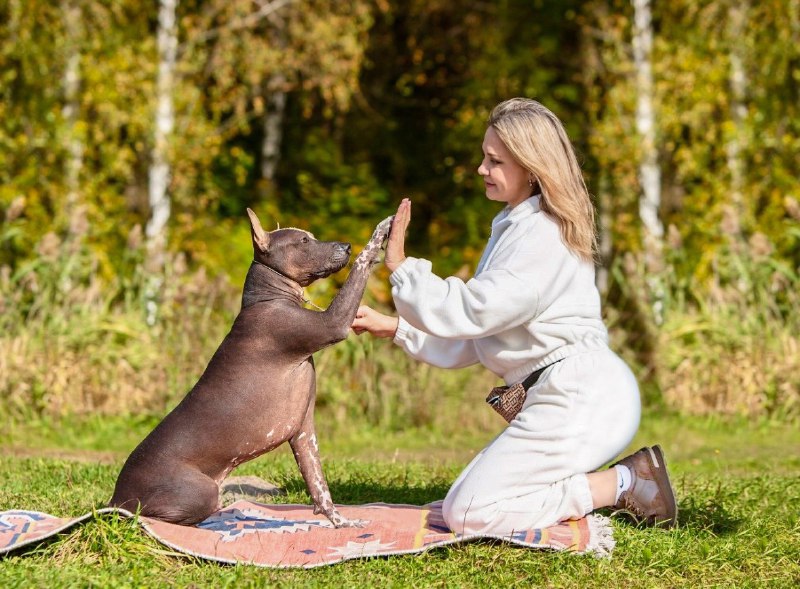 Питомник Amigo de Sol