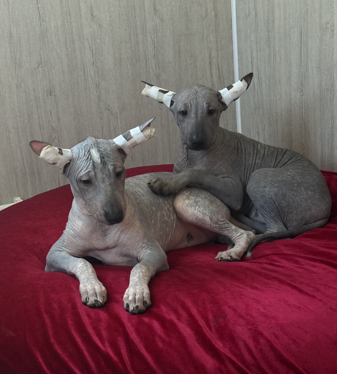 А кто у нас тут? ))))