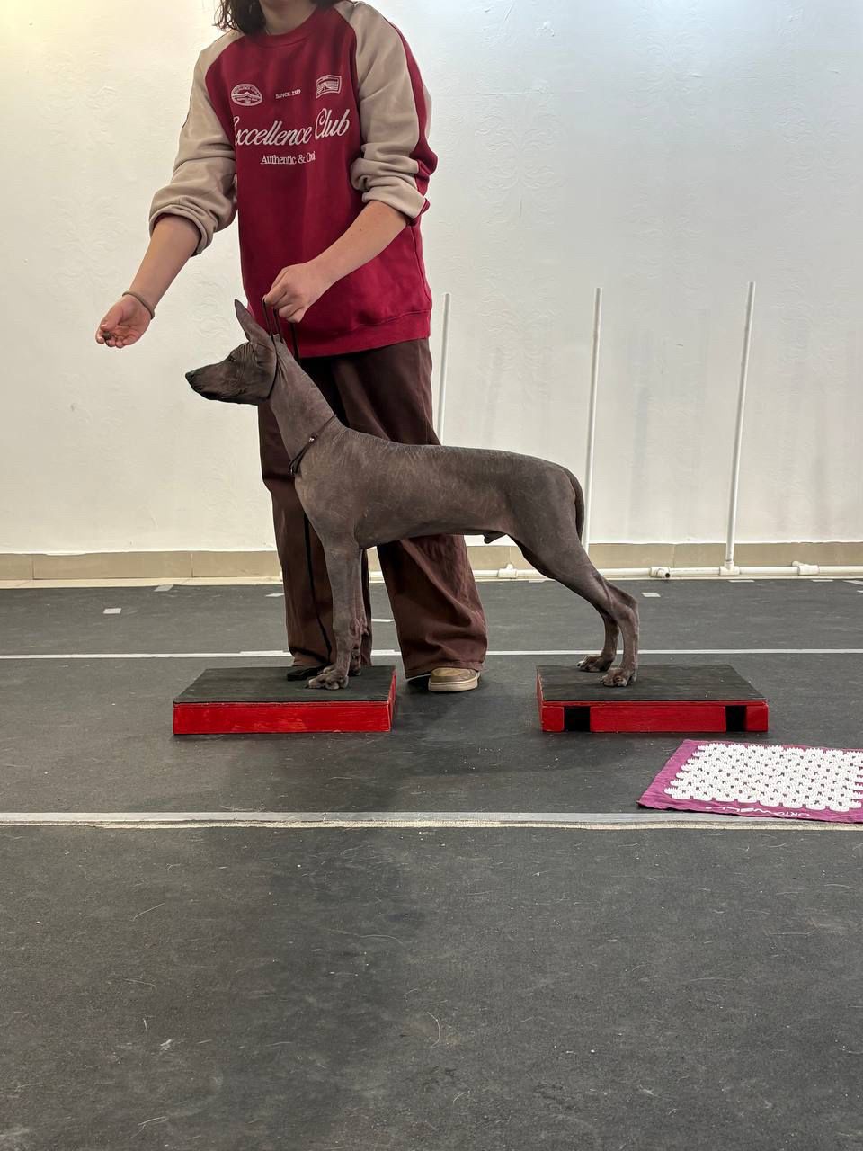 Amigo de sol Benjamin